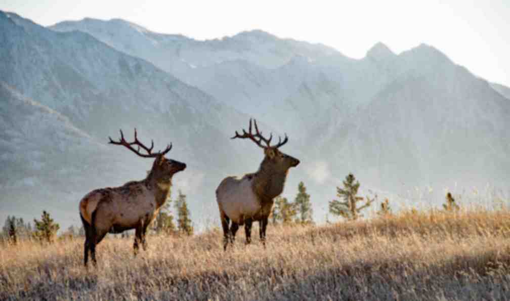 ouest-canadien-canada-parcs-nationaux