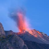 découverte en famille