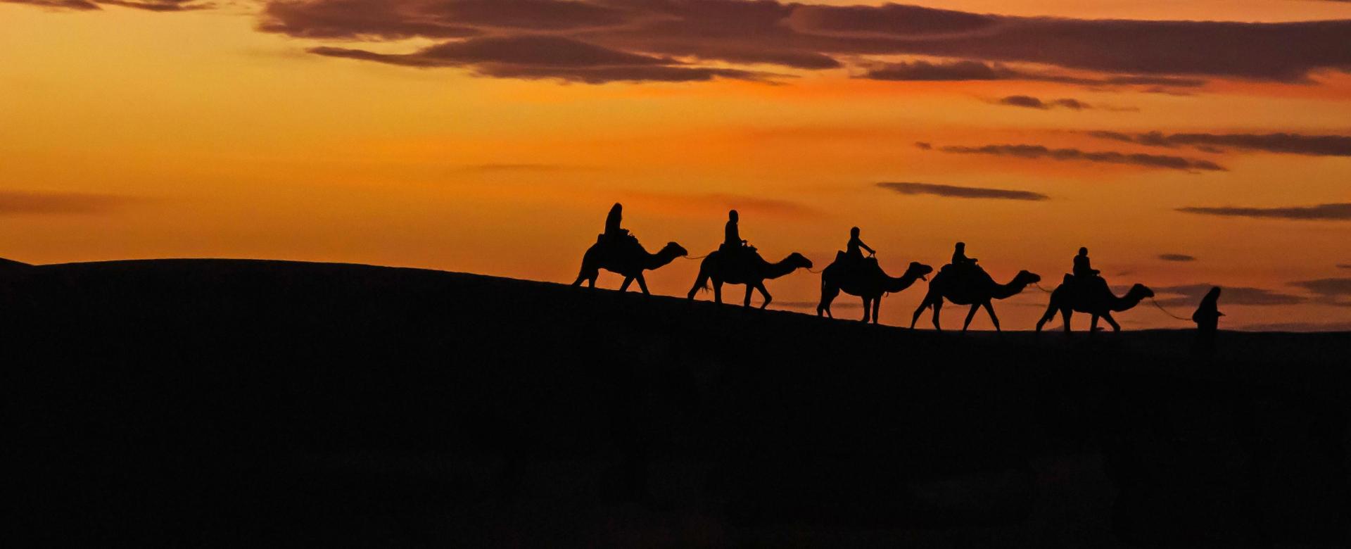 la-caravane-du-desert