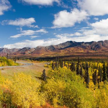 Trek Alaska