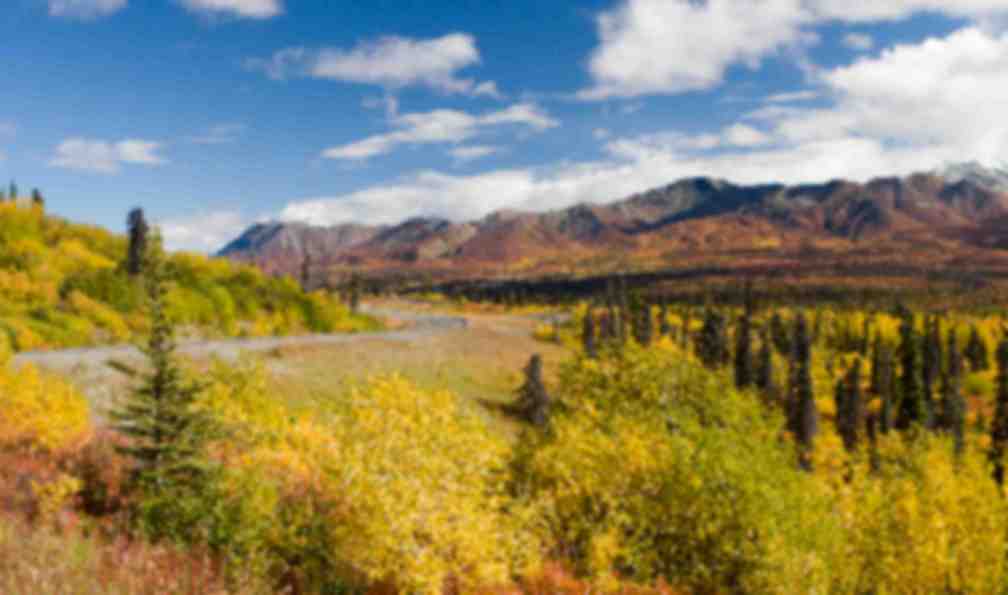 alaska-trek-alaska