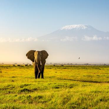 trek kenya