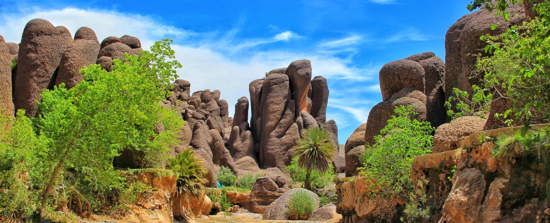 le-djebel-siroua
