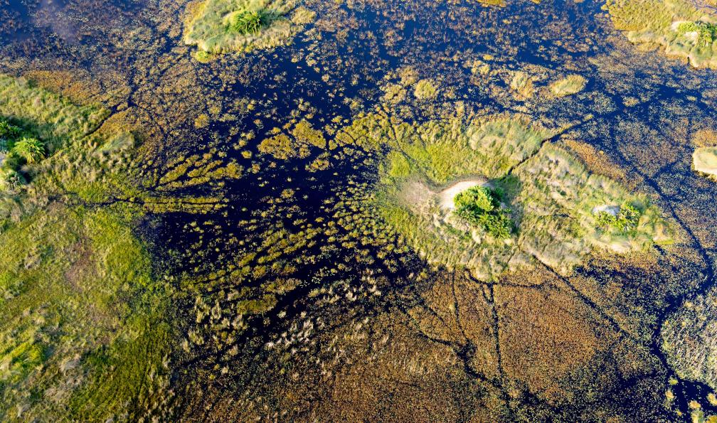 Ondrej - stock.adobe.com - Vue aérienne du delta Okavango in Botswana. - Voyages au Botswana Voyages au Botswana