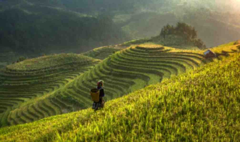 vietnam-voyage-baie-d-halong