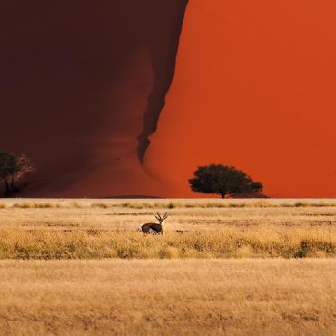 decouverte namibie