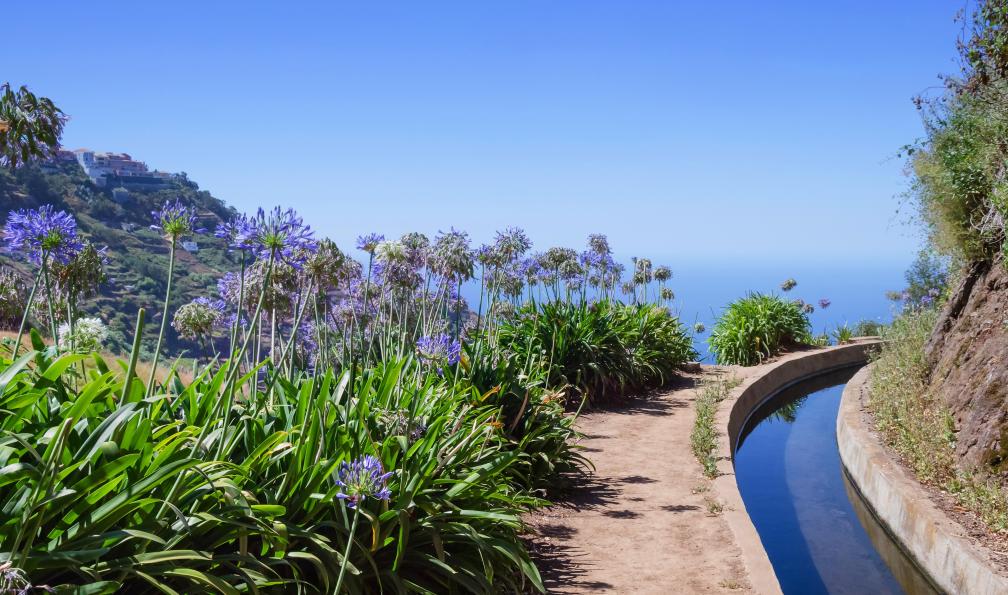 Olha Pashkovska - shutterstock - Levada, Madère - Madère, des levadas à la mer madere-trek-madere