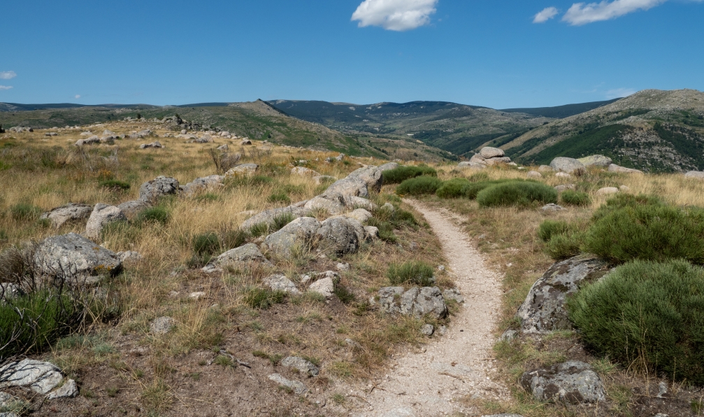 Nigel - Housden - Shutterstock - Sentier de Stevenson;France - Le chemin de Stevenson : partie Nord massif-central-rando-stevenson