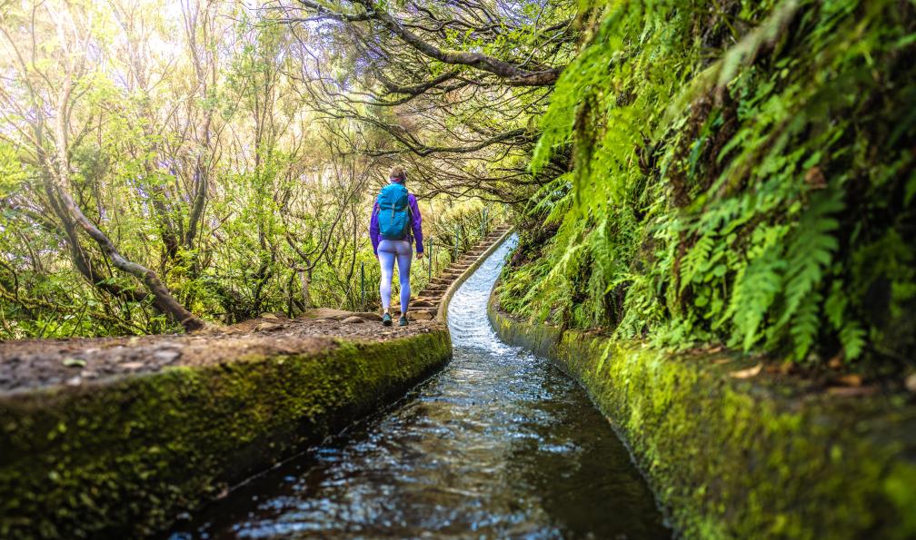 Michael - Adobe Stock - sur un sentier qui longe un canal d'eau douce sur le sentier des 25 cascades de Fontes, île de Madère, Portugal voyage-decouverte