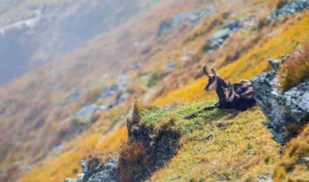 alpes-francaises-randonnee-vallee-des-merveilles