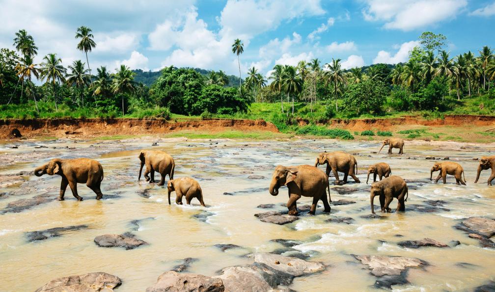 sri-lanka-sri-lanka-en-famille