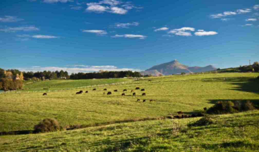 pyrenees-rando-pays-basque