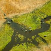 voyage okavango