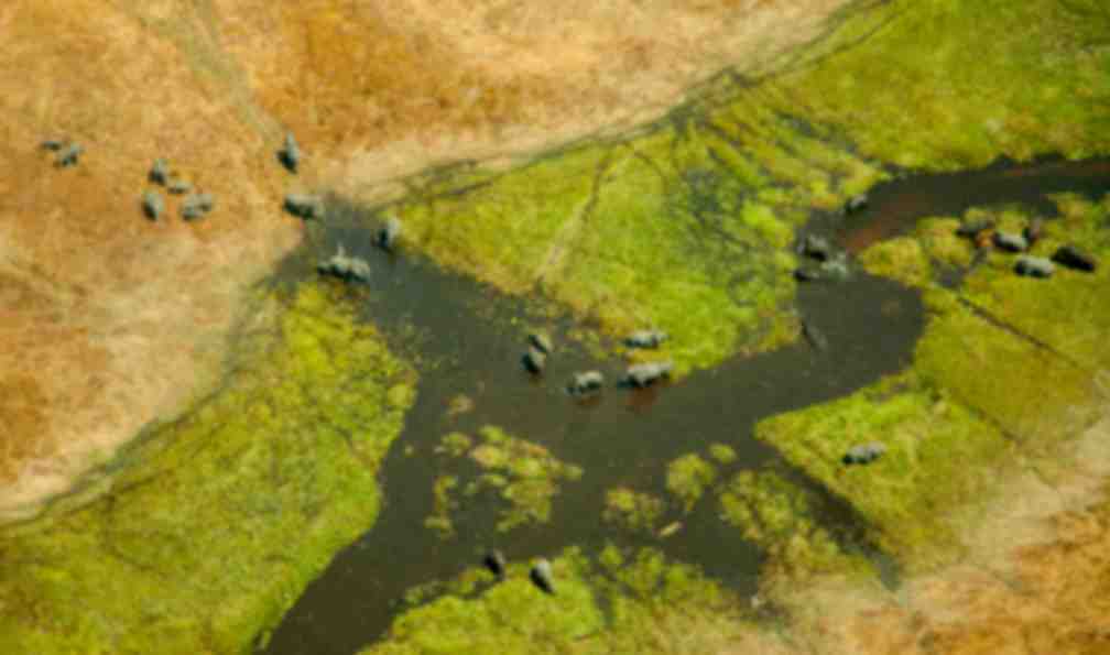 botswana-voyage-okavango