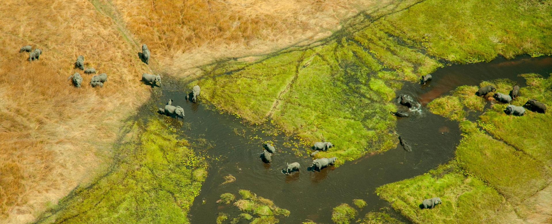 safari-botswanais-et-chutes-victoria