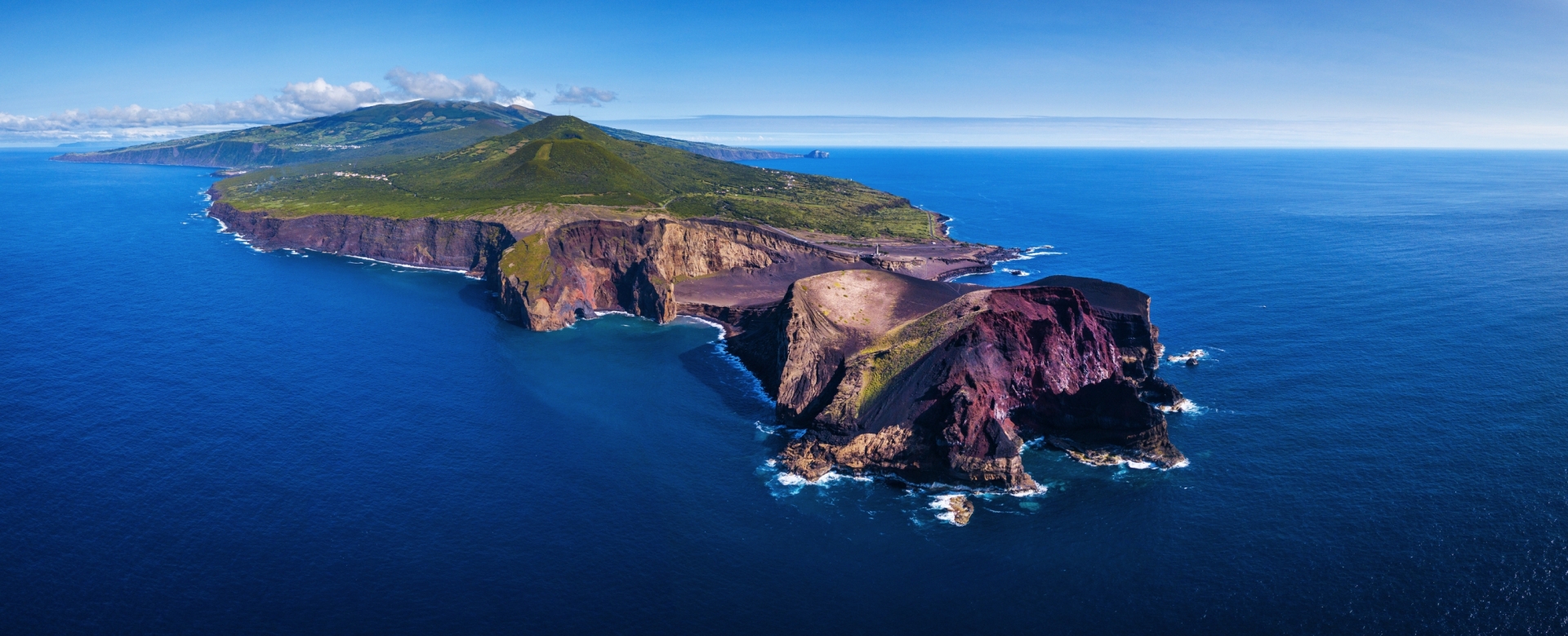 balades-baleines-et-hortensias