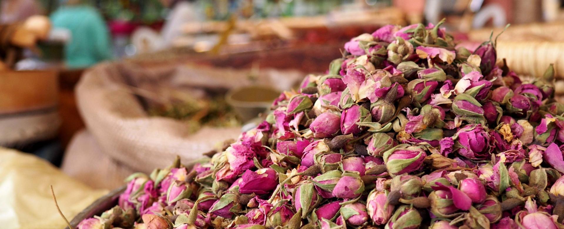 les-roses-du-mgoun