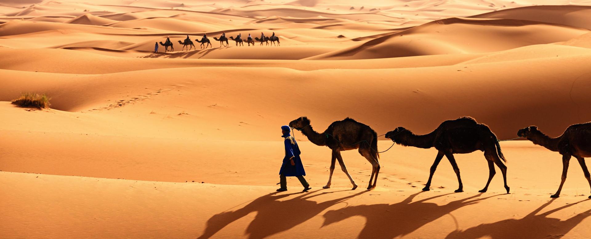 lodyssee-des-sables-de-ouadane-a-chinguetti