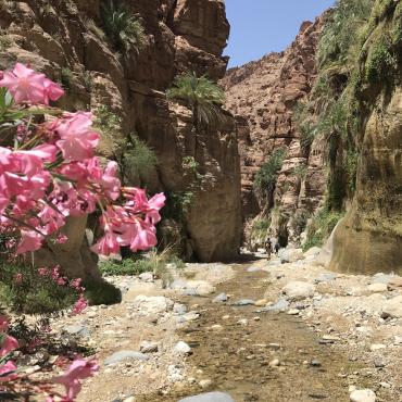 canyon jordanie