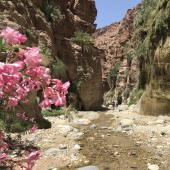 canyon jordanie