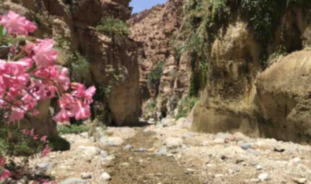 jordanie-canyon-jordanie