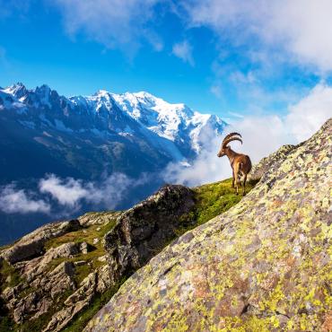 grand tour du mont-blanc confort