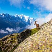 grand tour du mont-blanc confort