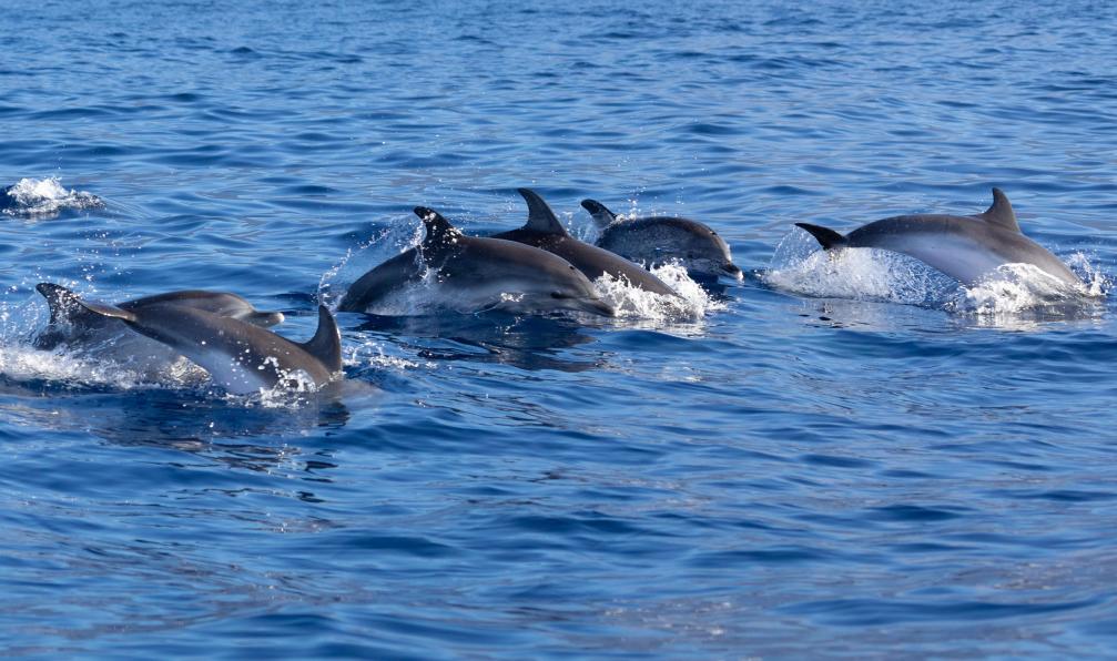 madere-madere-avec-enfants