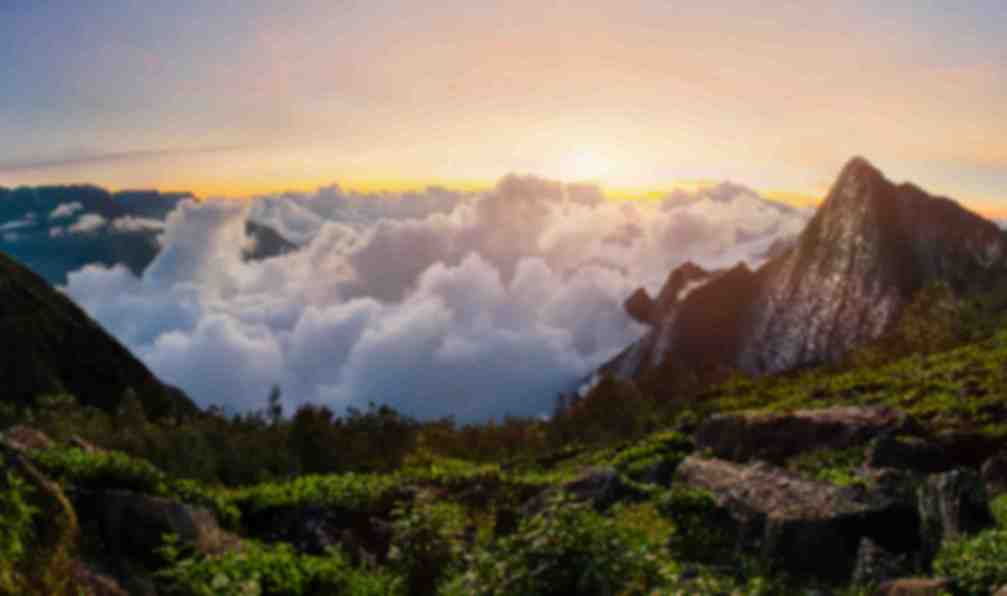 inde-du-sud-trek-kerala