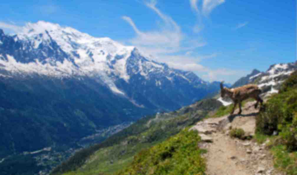 alpes-francaises-trek-tour-du-mont-blanc