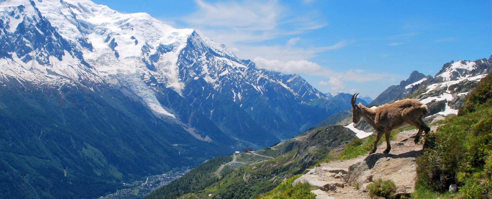 le-grand-tour-du-montblanc