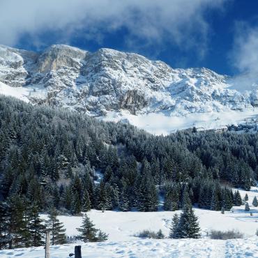 randonnée raquette vercors - au coeur du vercors en hiver