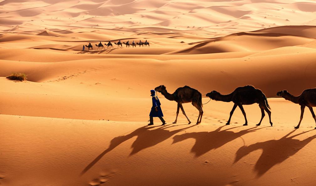 hadynyah - Istock - Jeune Culture touareg avec chameau sur Sahara occidental en Afrique,Mauritanie désert