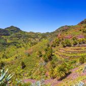 randonnée teide et taburiente
