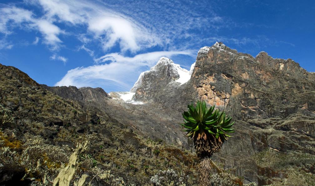 guenterguni - Istock - Montagnes Rwenzori entre l'Ouganda et le Congo. - Voyages, trekkings et randonnée en Ouganda Voyages, trekkings et randonnée en Ouganda