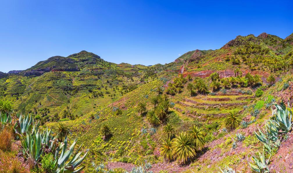 cinoby - Istock - La Gomera, ïles Canaries. - Tenerife, La Palma et La Gomera canaries-randonnee-teide-et-taburiente