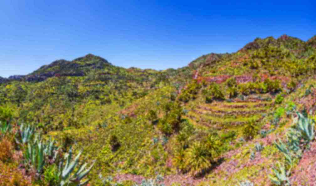 canaries-randonnee-teide-et-taburiente