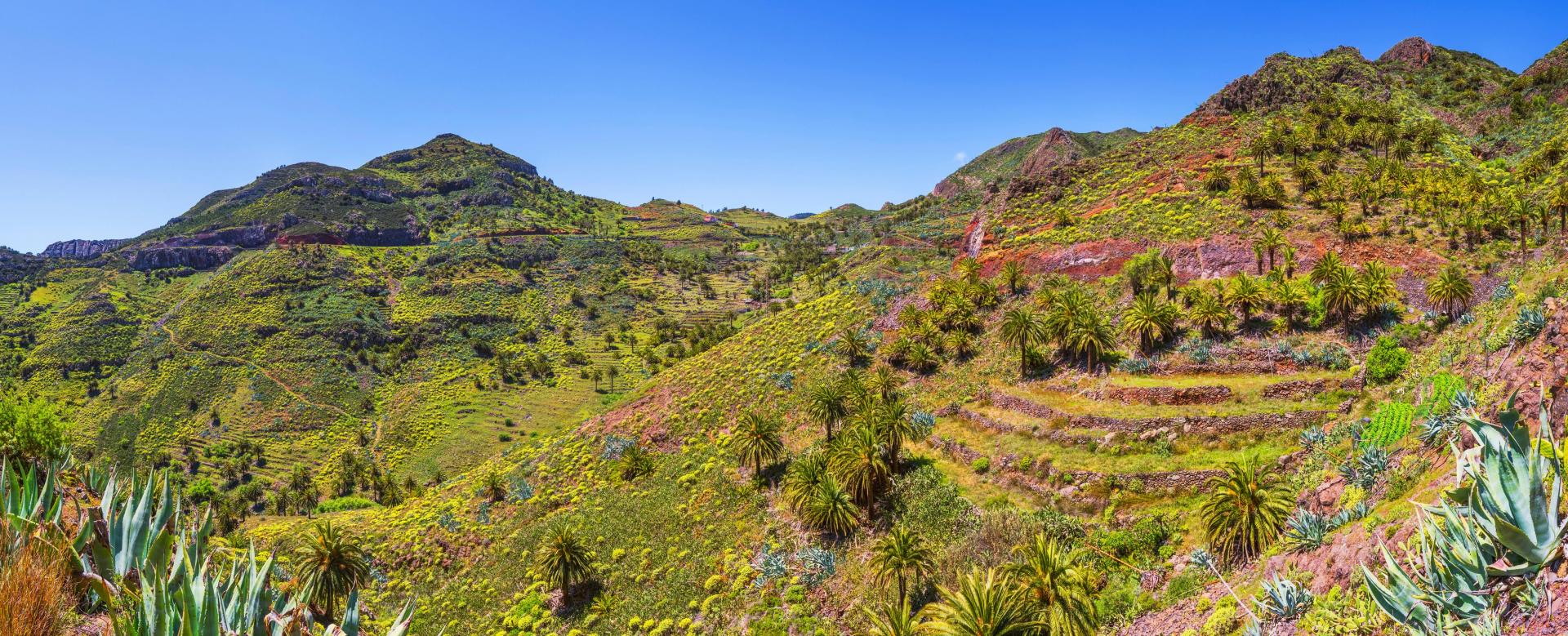 tenerife-la-palma-et-la-gomera