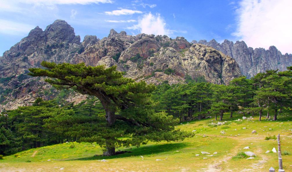 corse-gr20-sud-allege-de-bavella-a-vizzavona