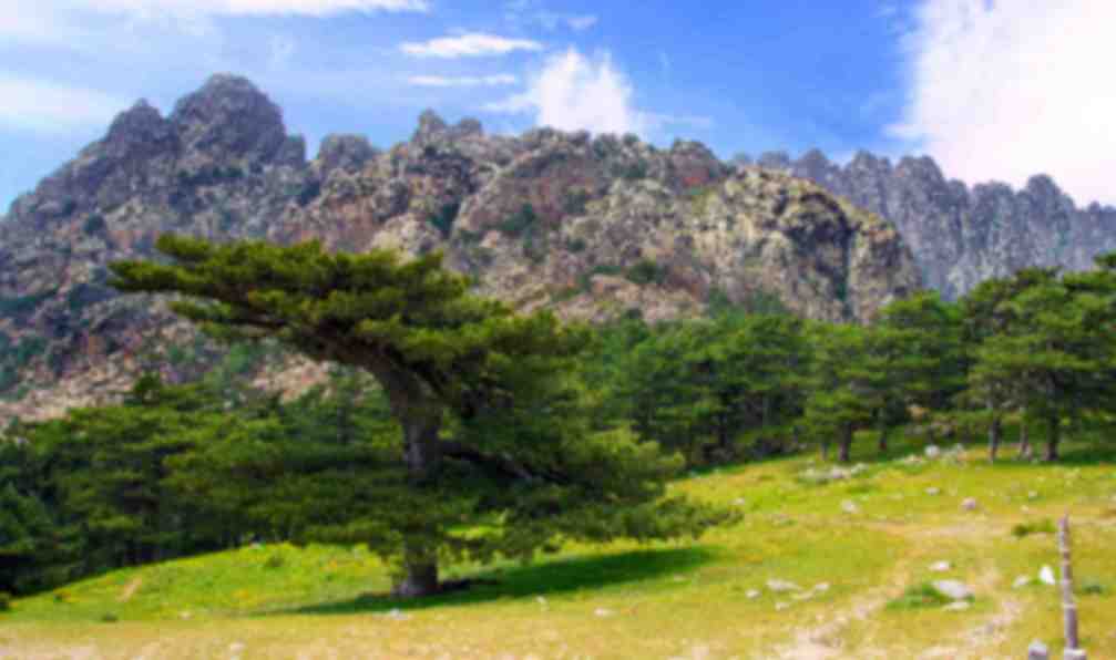 corse-gr20-sud-allege-de-bavella-a-vizzavona