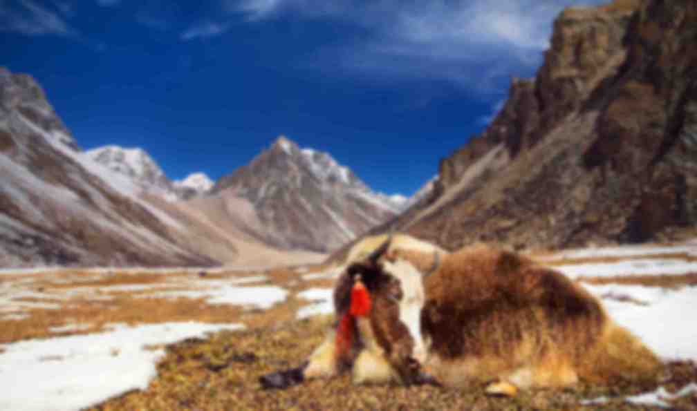 bhoutan-snow-man-trek