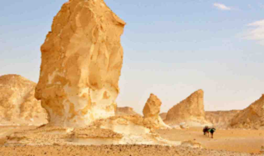 desert blanc