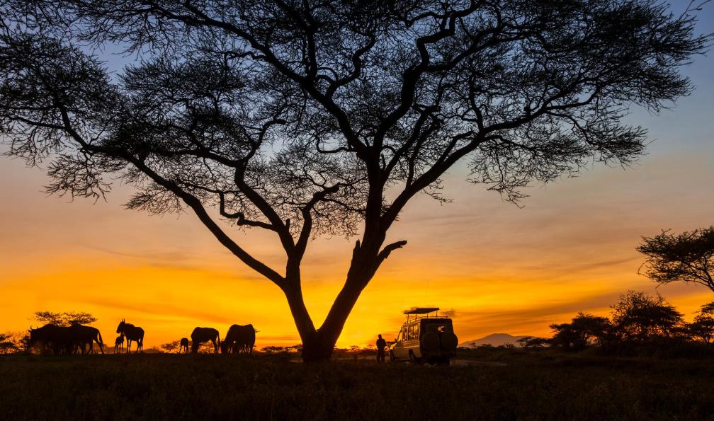 tanzanie-safari-tanzanie