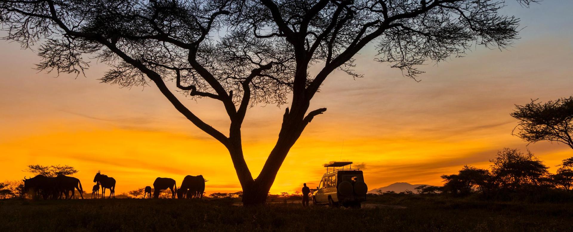 safaris-en-tanzanie-parcs-du-nord-et-lac-natron