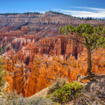 découverte des parcs mythiques de l'ouest américain