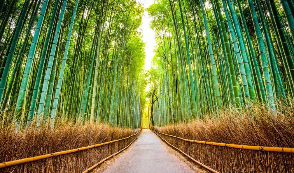 japon-de-tokyo-a-kyoto