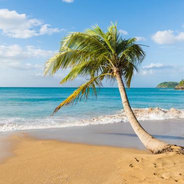 sejour libre et nature guadeloupe