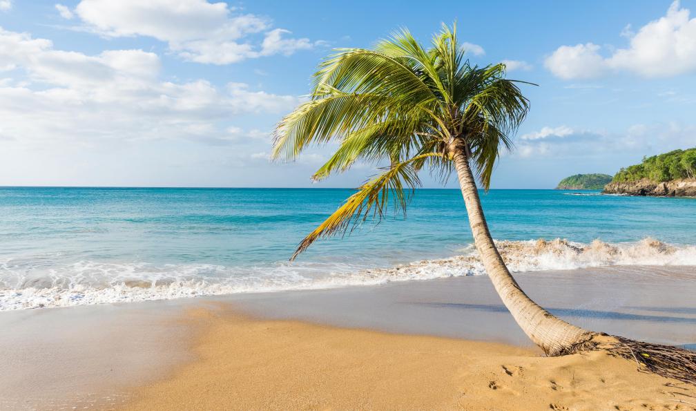 Fyletto - istock - Plage de la parle, Guadeloupe - Guadeloupe, l'île nature guadeloupe-sejour-libre-et-nature-guadeloupe