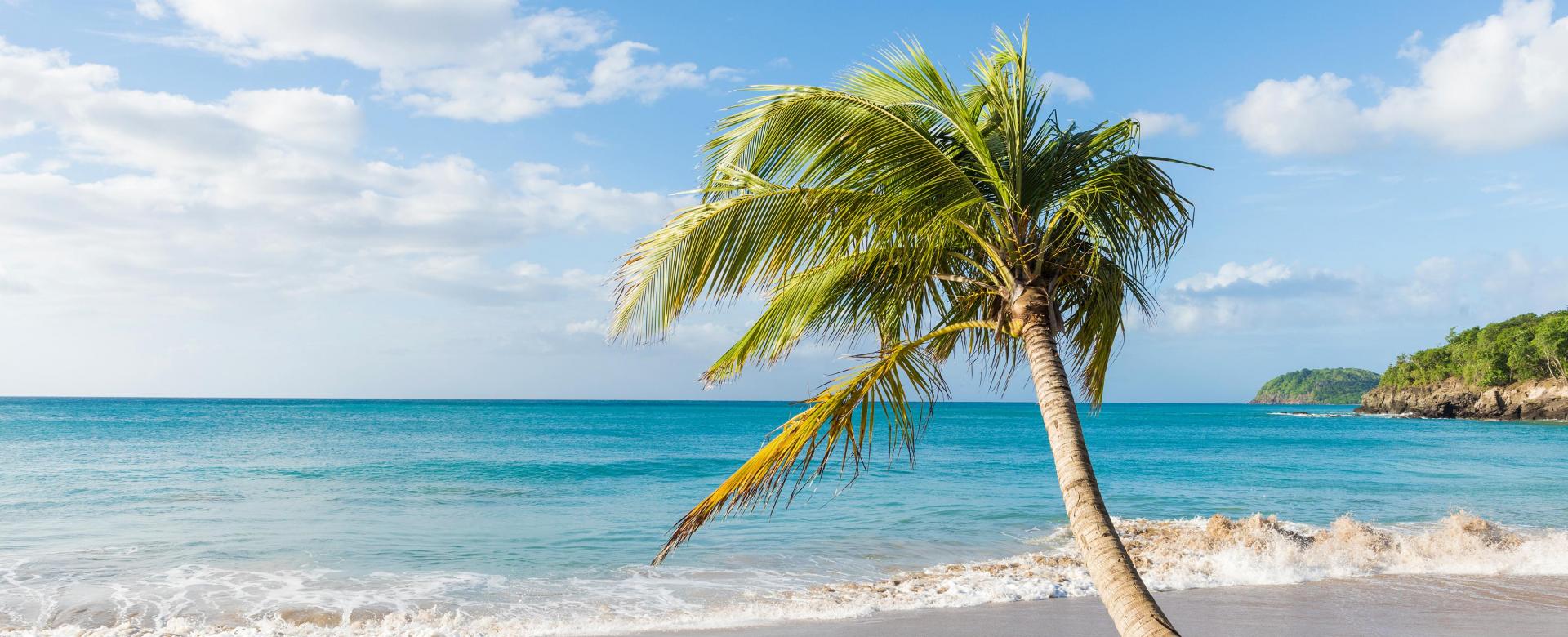 guadeloupe-lile-nature