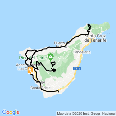 canaries en famille
